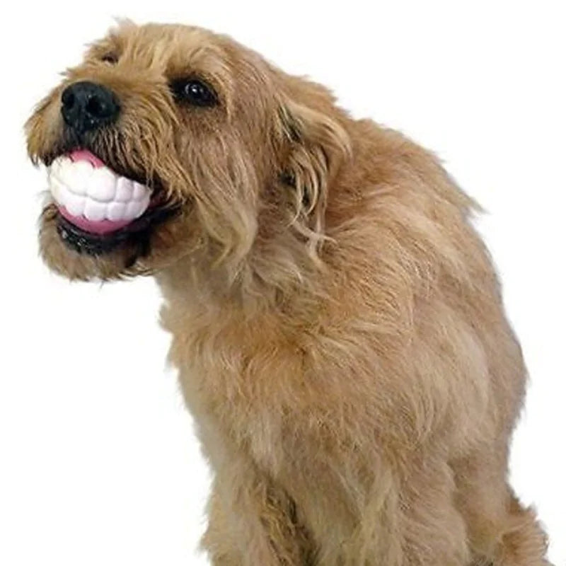 MightyBite Dog Ball/Chew Toy