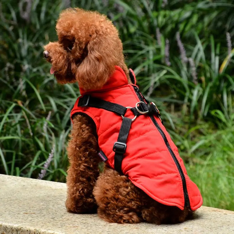 RainShield Waterproof Dog Coat With Harness