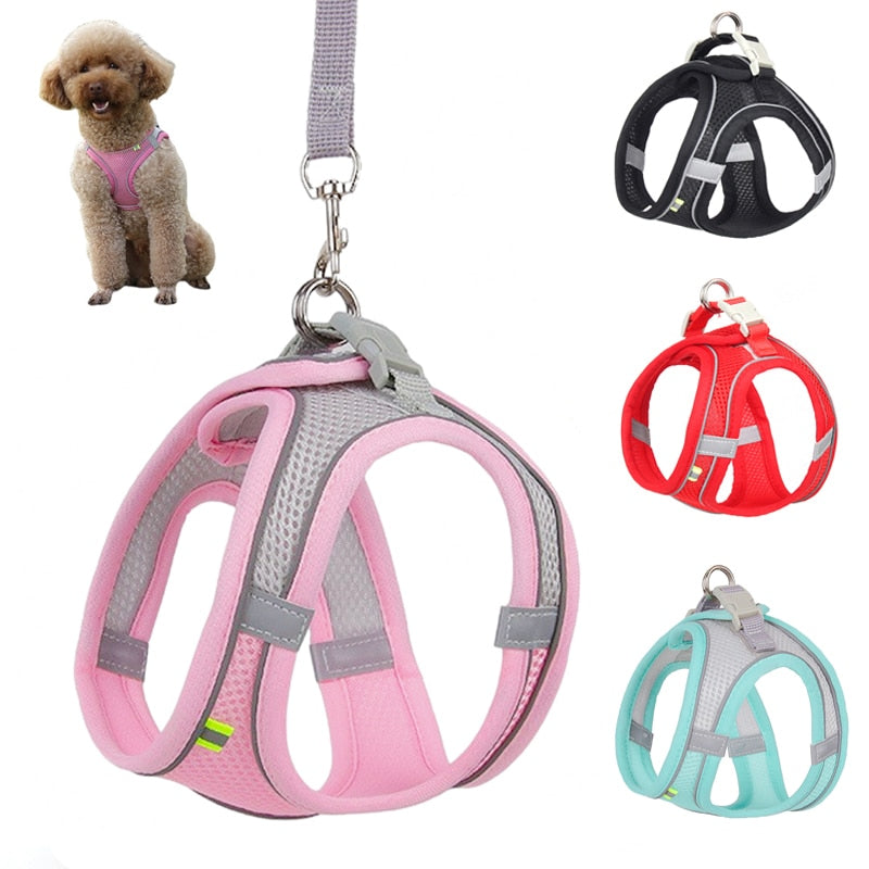 Harness and Leash Set for Small Dogs