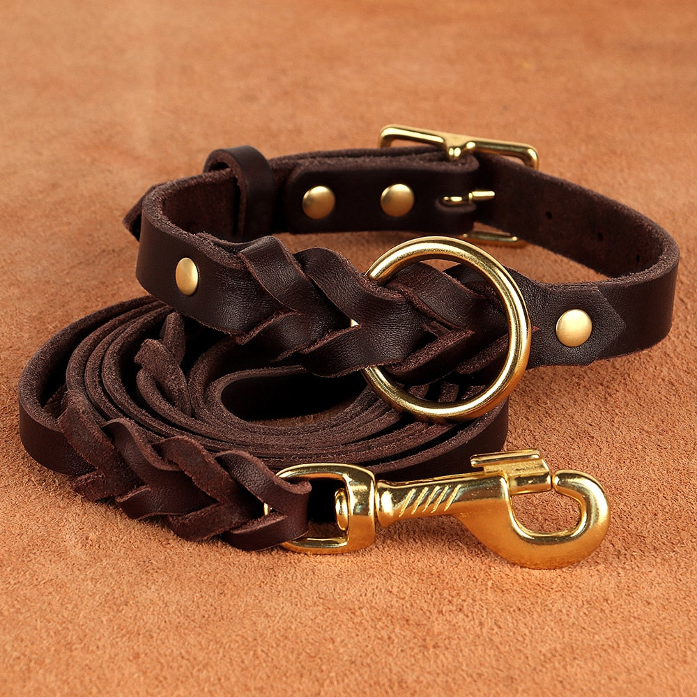 Braided Leather Collar and Leash Set