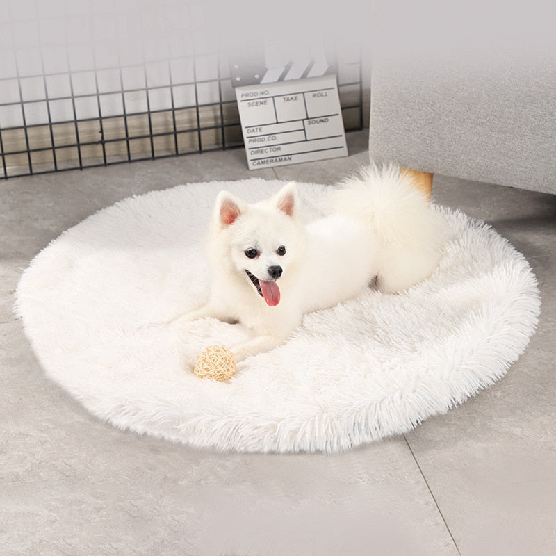 Plush Pet Bed for Smaller Breeds
