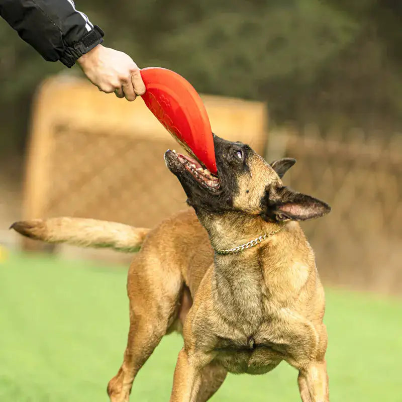Aisenwer Natural Rubber Flying Disc