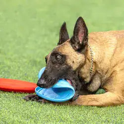 Aisenwer Natural Rubber Flying Disc