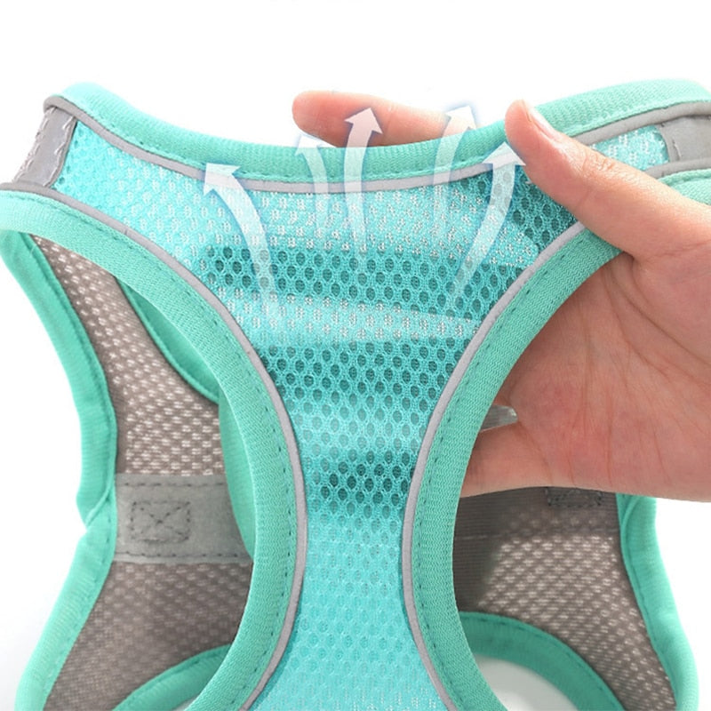 Escape Proof Small Pet Harness + Leash