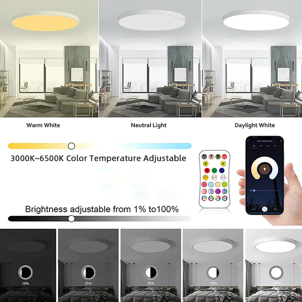 ColorShift Slim Ceiling Light