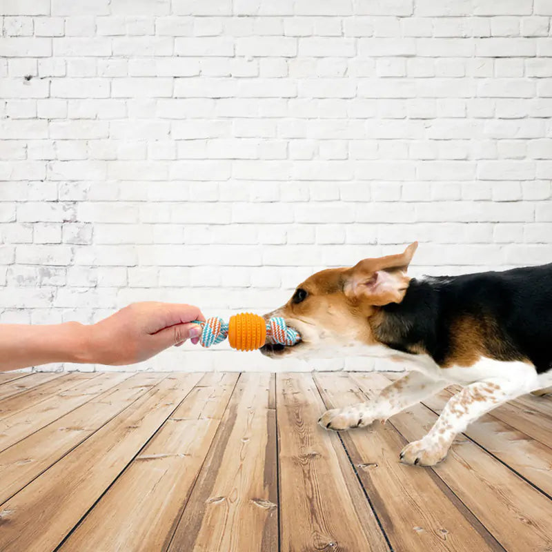 ChewRope Bliss Dog Chew Toy