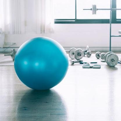 FlexFlow Balance Balls