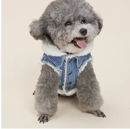 DoggyDenim Classic Coat
