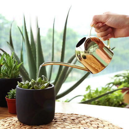 EasyPour Mini Watering Can