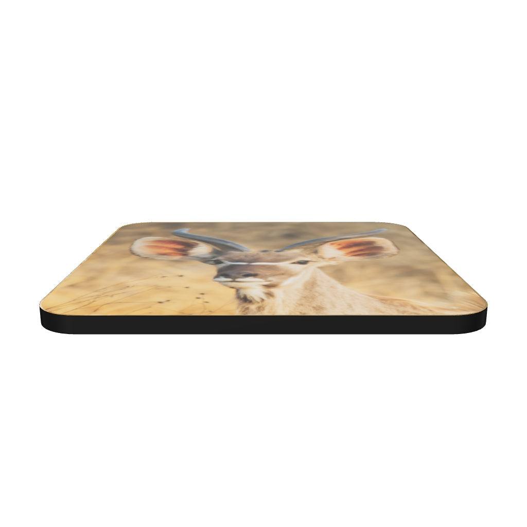 "Greater Kudu Portrait" Cork-back coaster