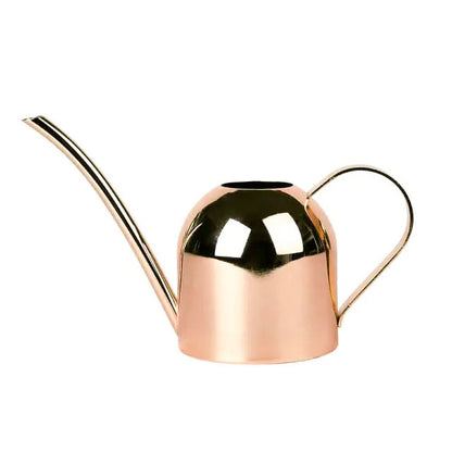 EasyPour Mini Watering Can
