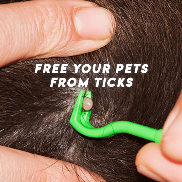 Tick Twister - Pack of 3