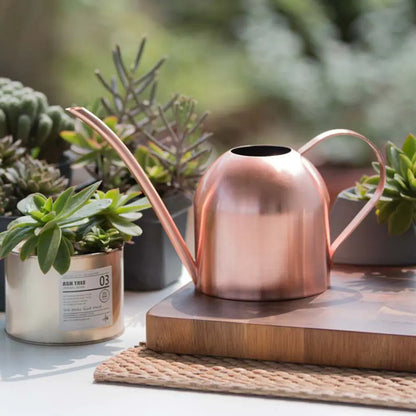 EasyPour Mini Watering Can