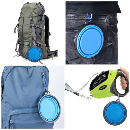 Collapsible Travel Companion Pet Bowl