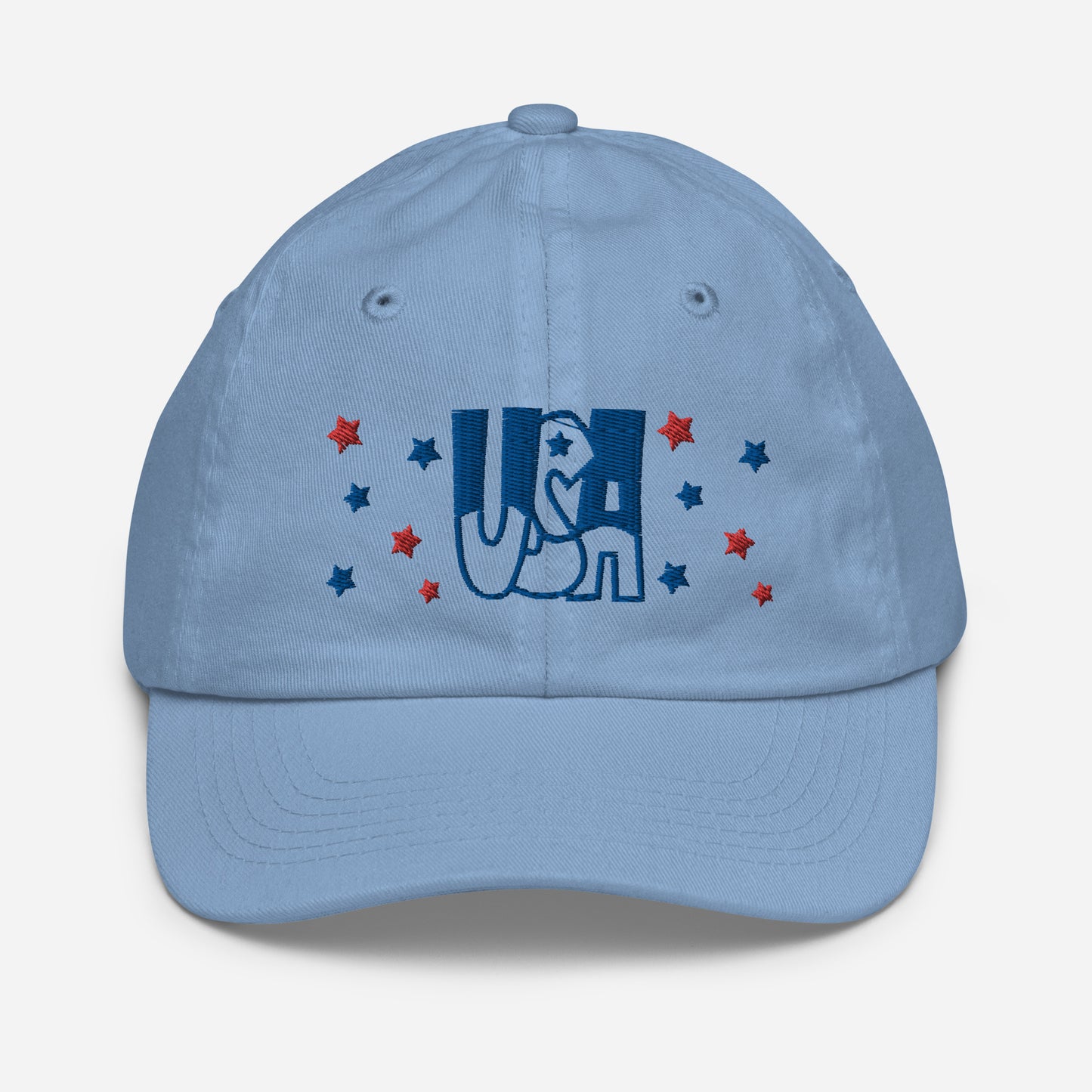 Embroidered USA baseball cap