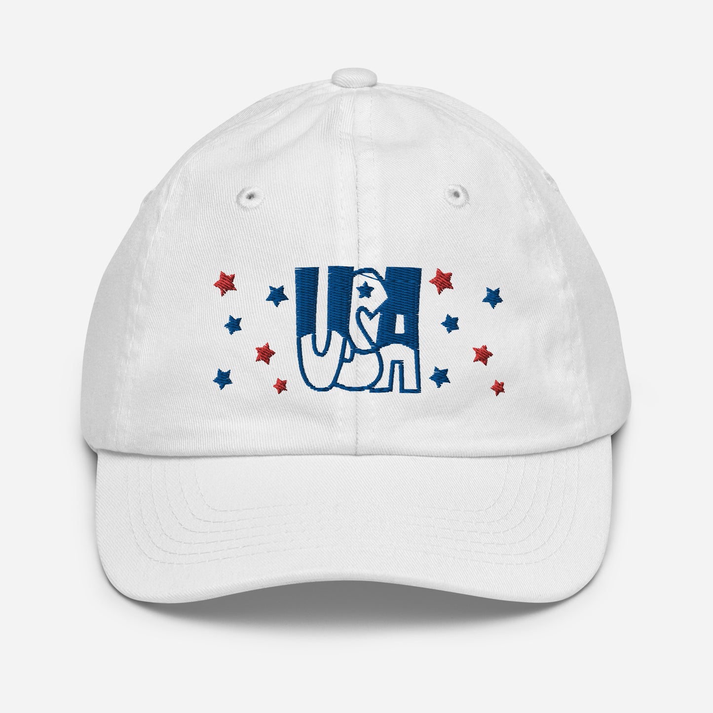 Embroidered USA baseball cap