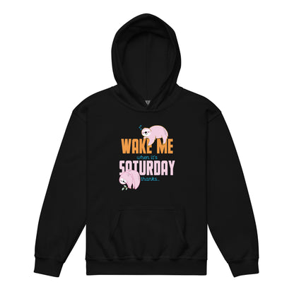 PlayReady Youth Hoodie - Wake me when it's Saturday