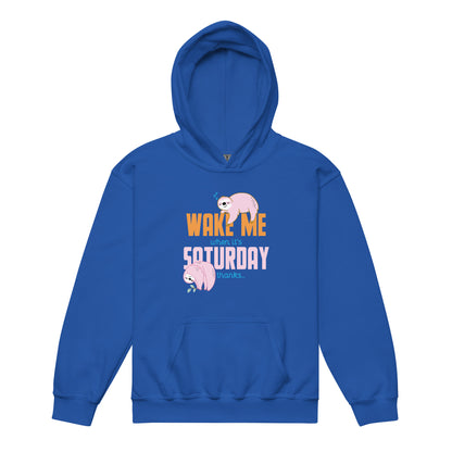 PlayReady Youth Hoodie - Wake me when it's Saturday