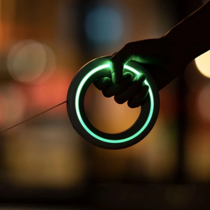 2.6m Retractable Hands-Free Leash with LED Lights