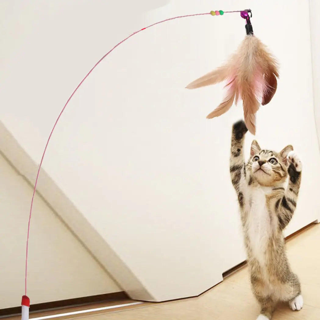 KittyFlick Interactive Cat Toys