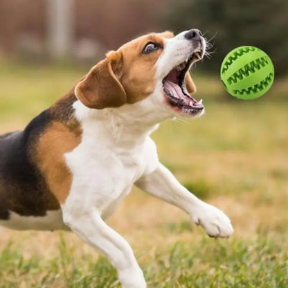 TreatTwist Chew Ball