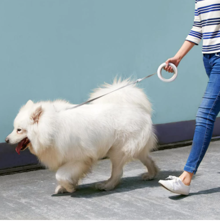 2.6m Retractable Hands-Free Leash with LED Lights