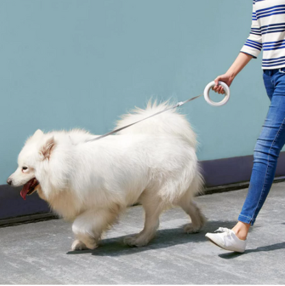 2.6m Retractable Hands-Free Leash with LED Lights