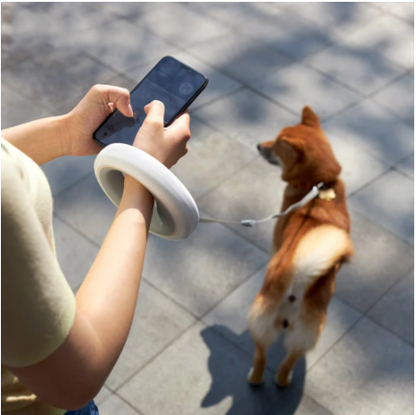 2.6m Retractable Hands-Free Leash with LED Lights