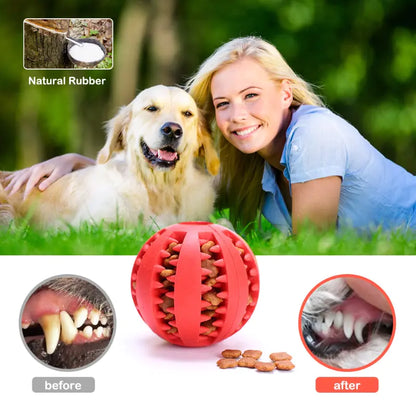 TreatTwist Chew Ball