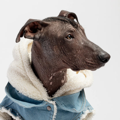 DoggyDenim Classic Coat