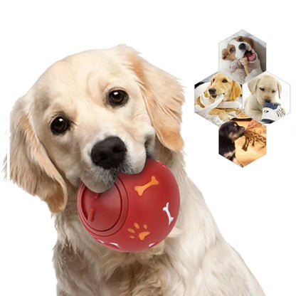 CleanBite Dental Chew Ball