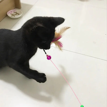 KittyFlick Interactive Cat Toys